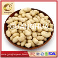 Best Sale Blanched Peanut Kernels 25/29 New Crop